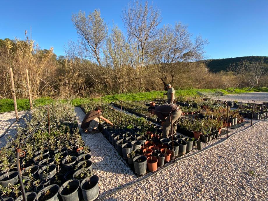 Aerial image of Ombria resort